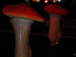 Disneyland, California