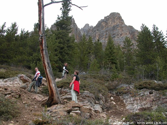 Scaling the mountain