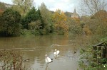 River Avon, Bradford-on-Avon