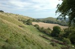 North Downs - Etchinghill to Wye