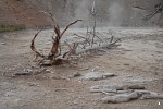Random photograph