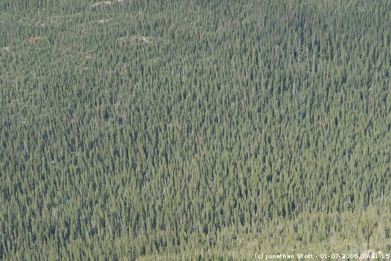 Forest Canyon, Rocky Mountain National Park