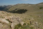 Tundra at Forest Canyon, Rocky Mountain National Park