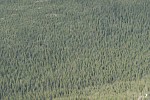 Forest Canyon, Rocky Mountain National Park