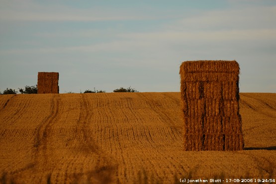 Straw bales in a field near Winterbourne Monkton, Wiltshire
