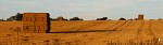 Straw bales in a field near Winterbourne Monkton, Wiltshire