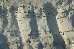 White Cliffs, Dover, Kent