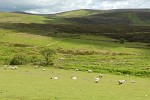 Dartmoor, Devon
